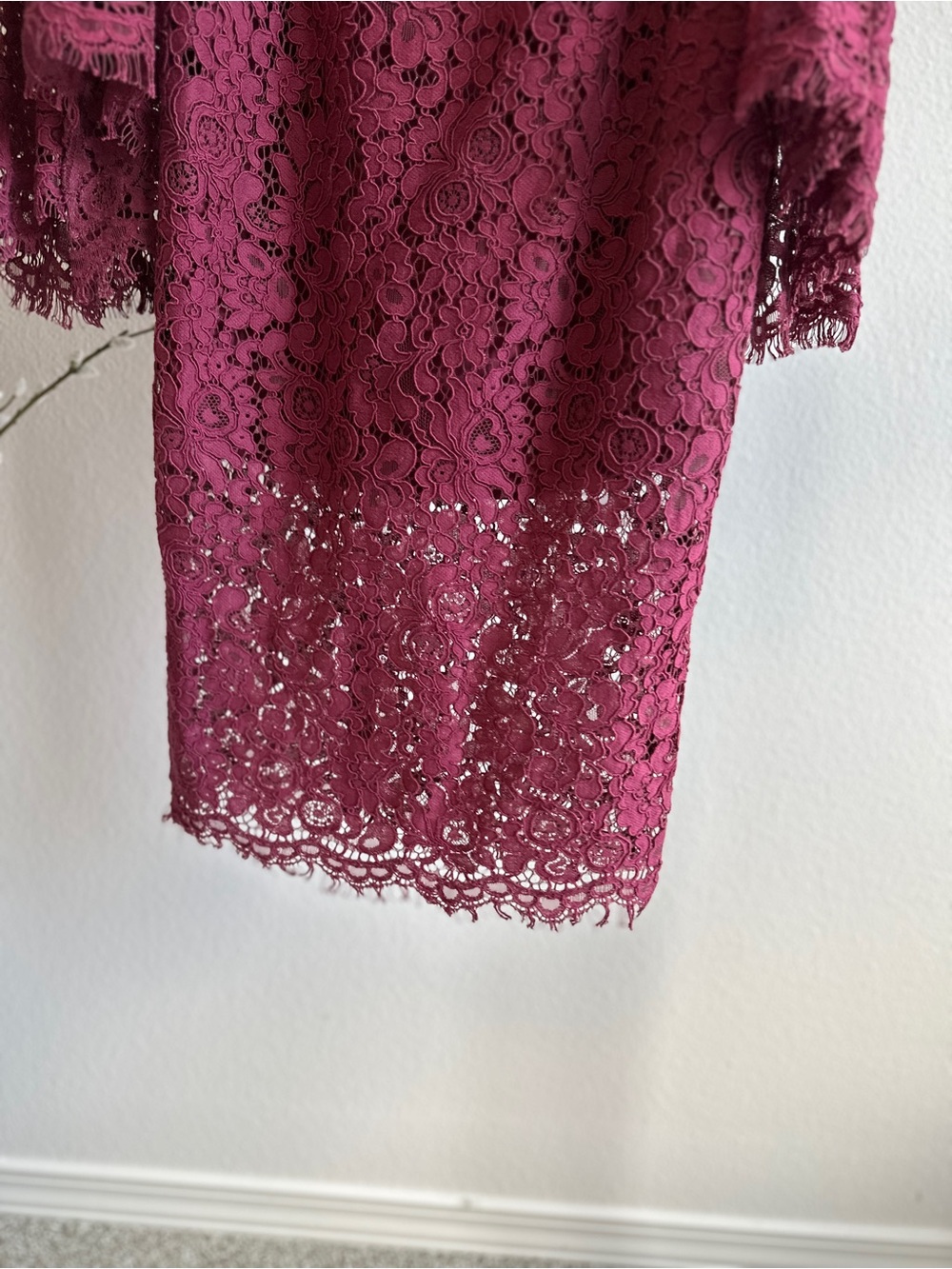 Bardot Burgundy Lace Overlay Dress - Picture 3 of 8